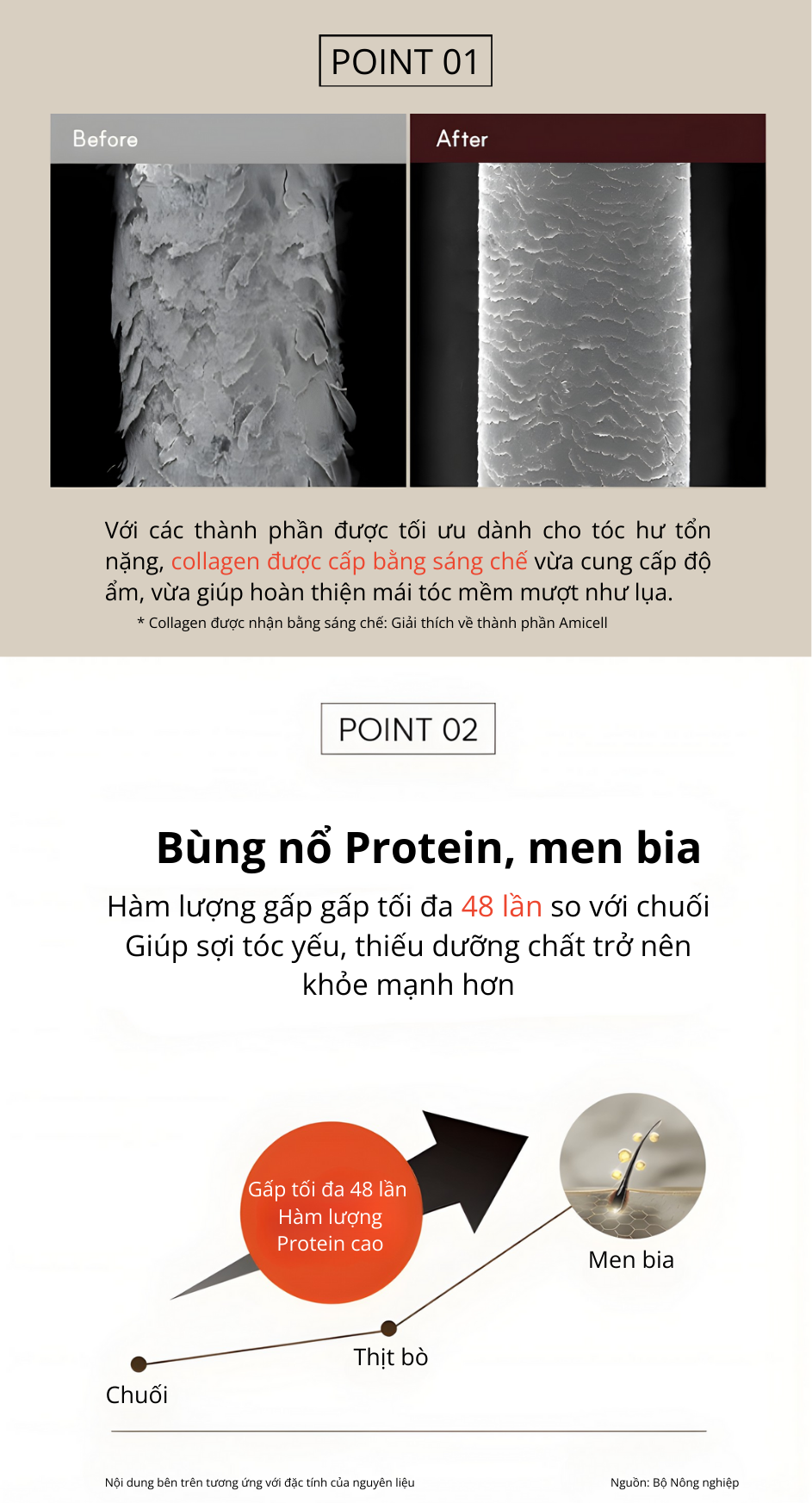 DAU-XA-DUONG-TOC-MEN-BIA-PHUC-HOI-CHUYEN-SAU-NINEMILA-CALMING-BEER-TREATMENT_2.png