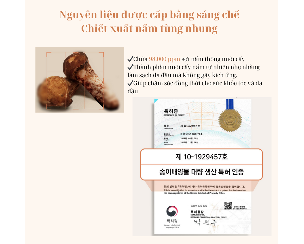 Dau-goi-MUSHRUSH-Natural-Organic-Anti-Hair-Loss-Shampoo-13.png