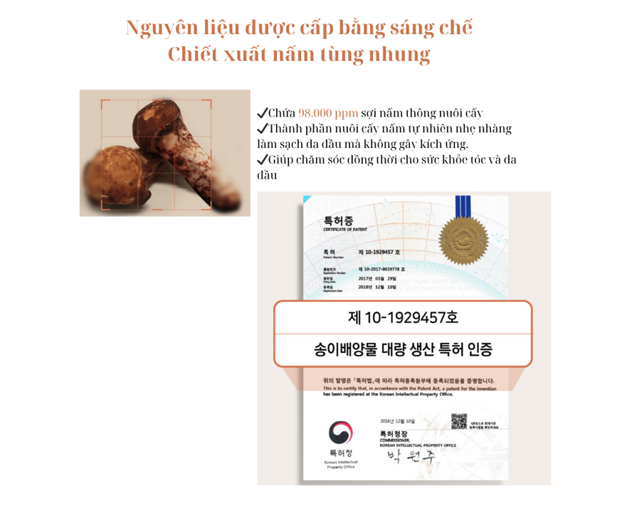 Dau-goi-MUSHRUSH-Natural-Organic-Anti-Hair-Loss-Shampoo-23.png