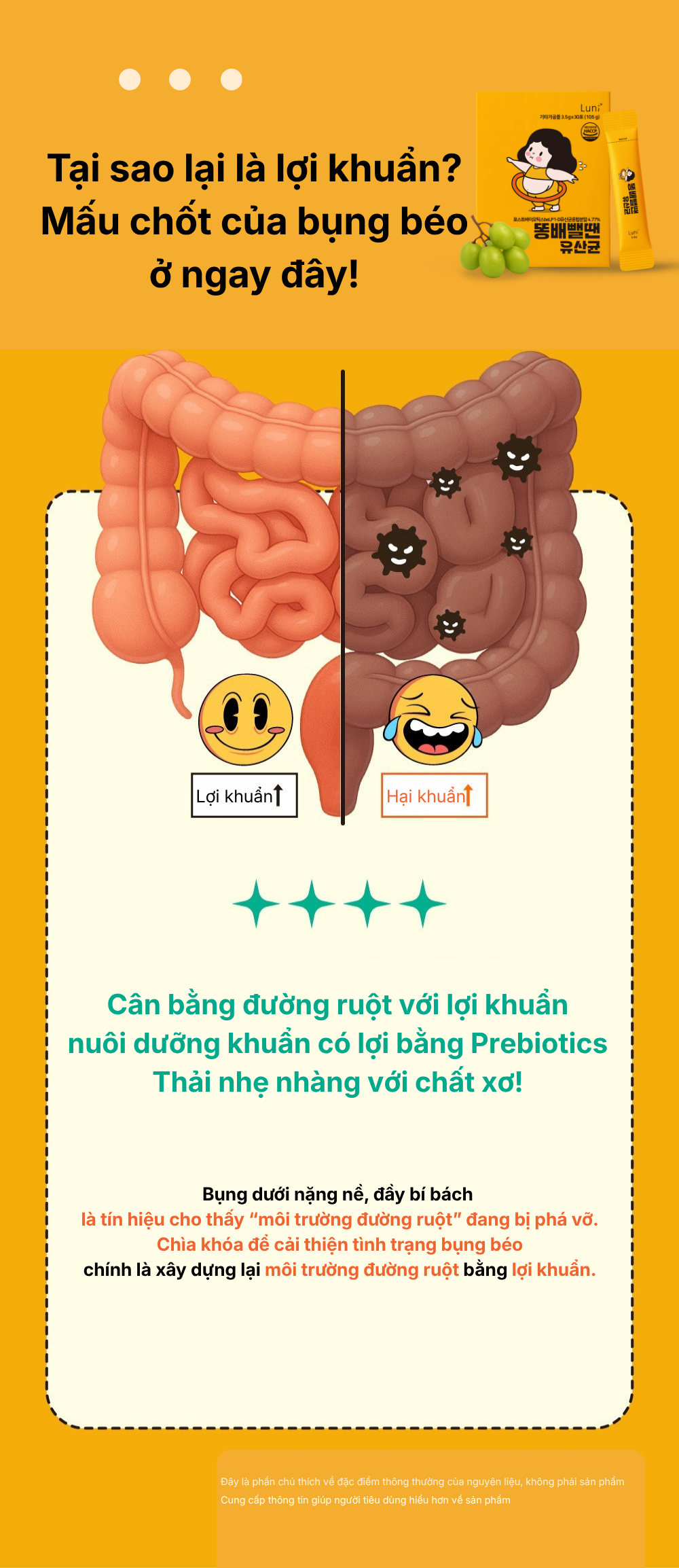 Thuc-pham-bo-sung-Slim-gut-Probiotics-4.png?v=1780045188