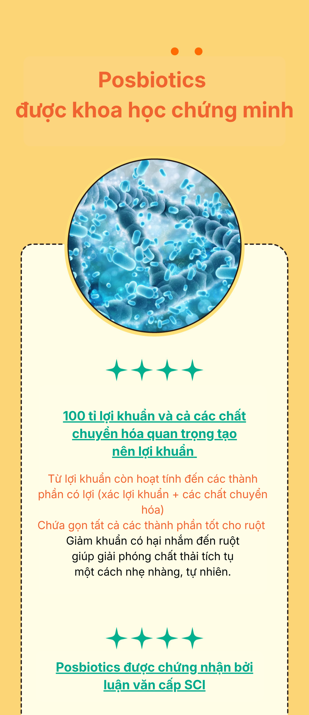 Thuc-pham-bo-sung-Slim-gut-Probiotics-5.png?v=1780045189