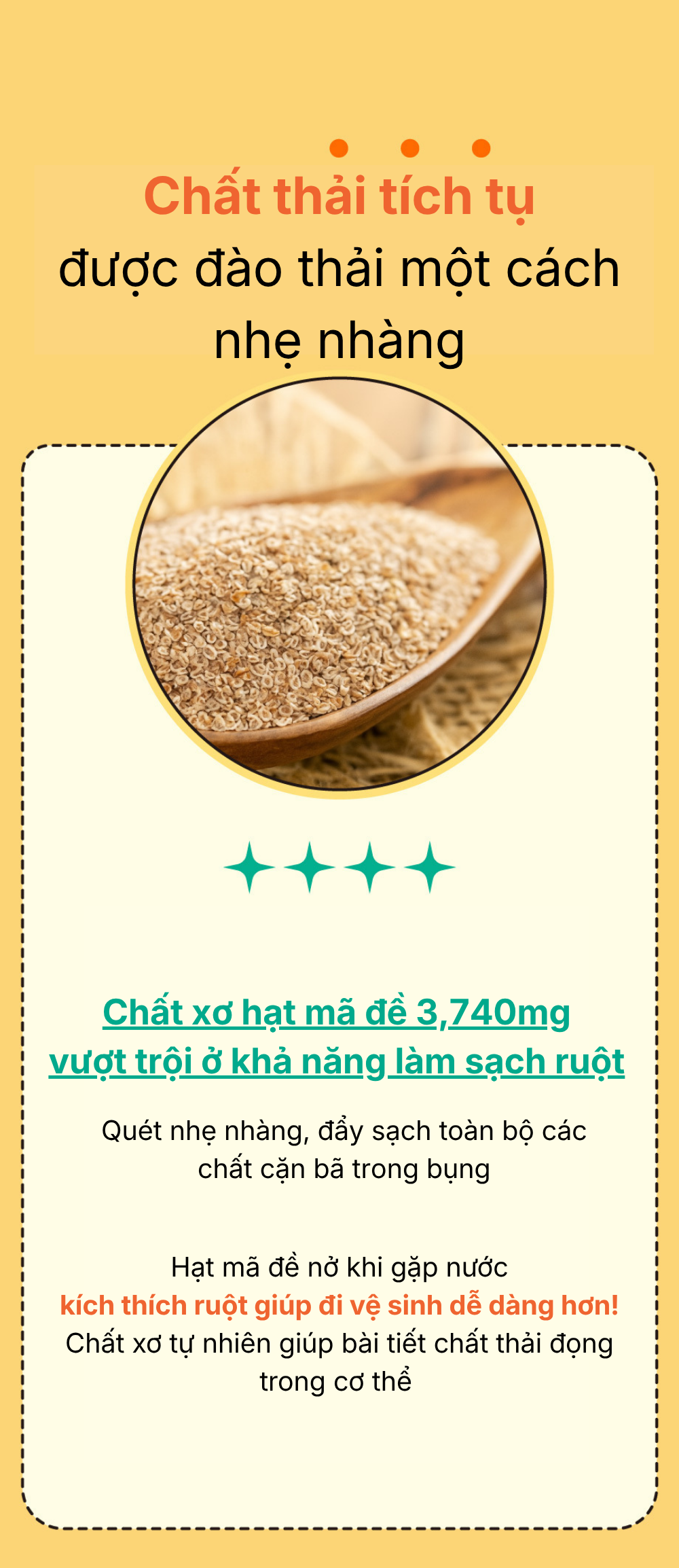 Thuc-pham-bo-sung-Slim-gut-Probiotics-7.png?v=1780045191