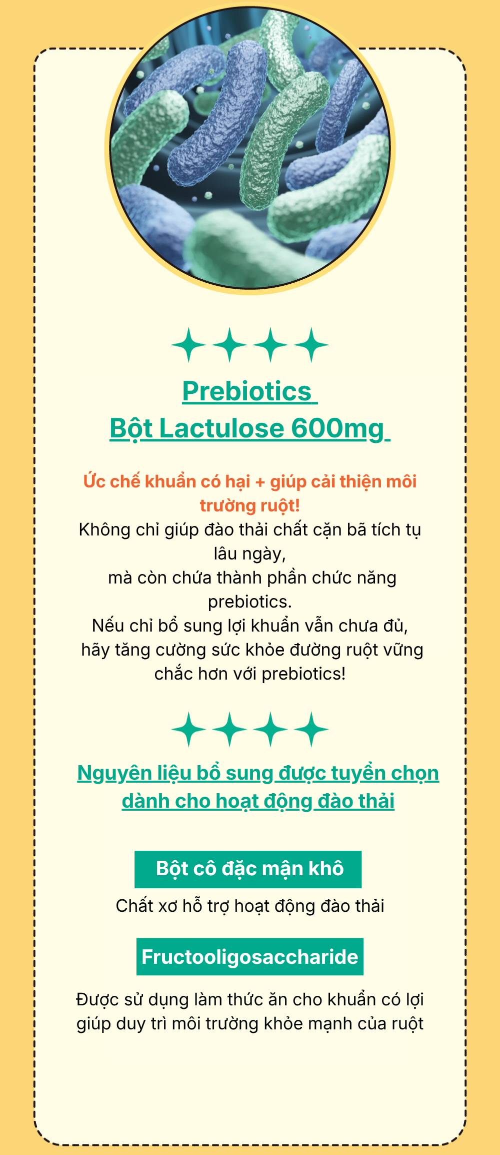 Thuc-pham-bo-sung-Slim-gut-Probiotics-8.png?v=1780045193