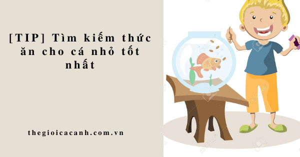 [TIP] Tìm kiếm thức ăn cho cá nhỏ tốt nhất