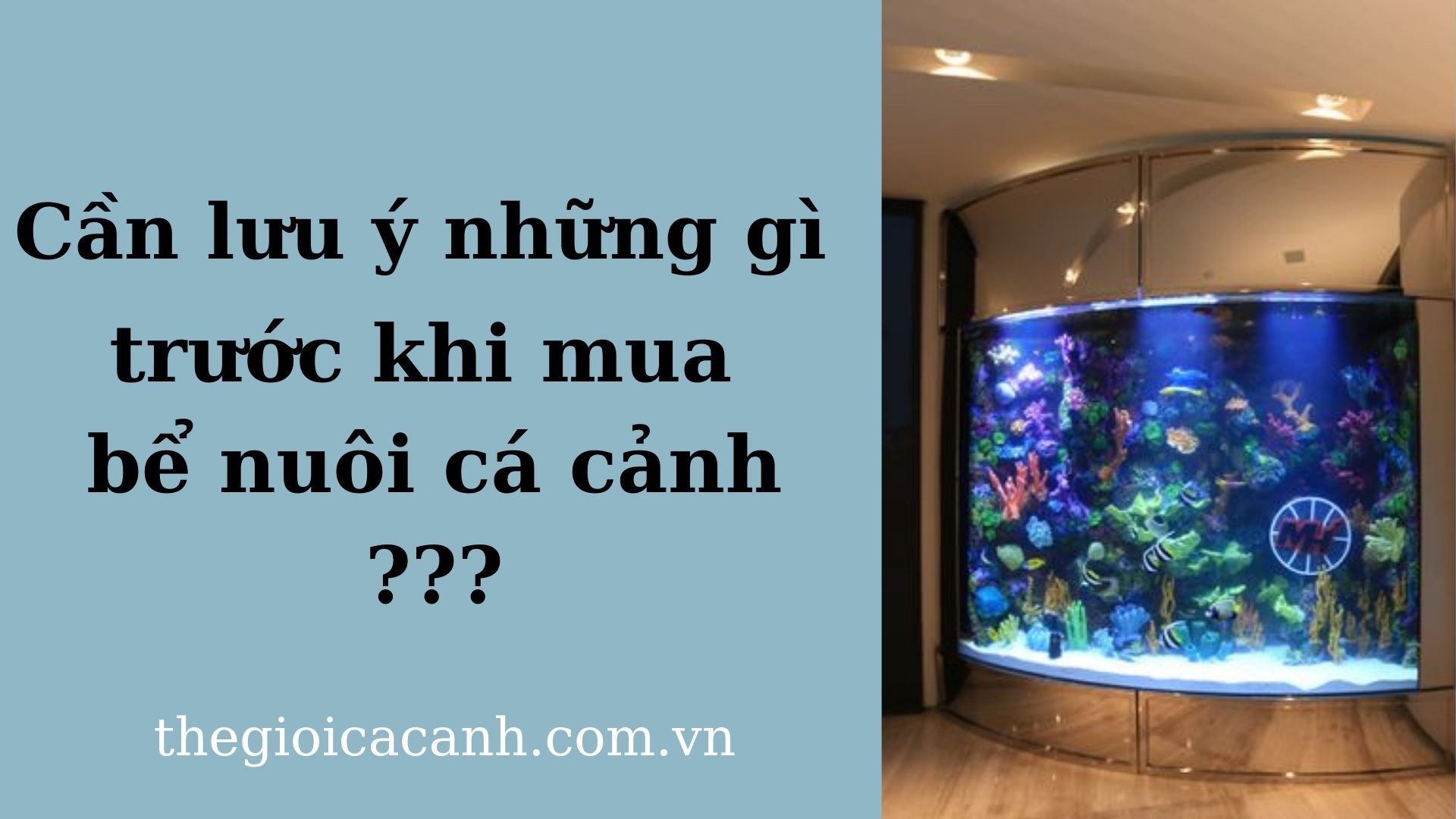 [Kiến thức] Cần lưu ý những gì trước khi mua bể nuôi cá cảnh?