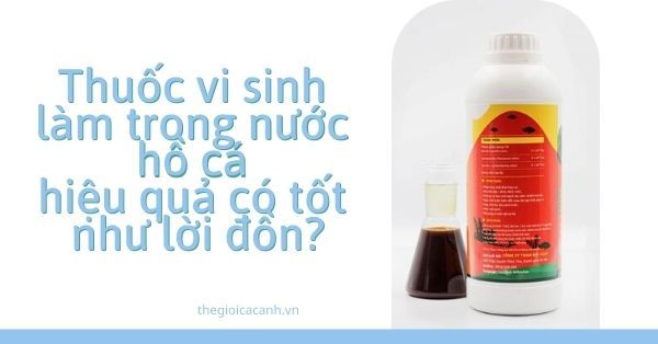 Men vi sinh làm trong nước hồ cá hiệu quả có tốt như lời đồn?