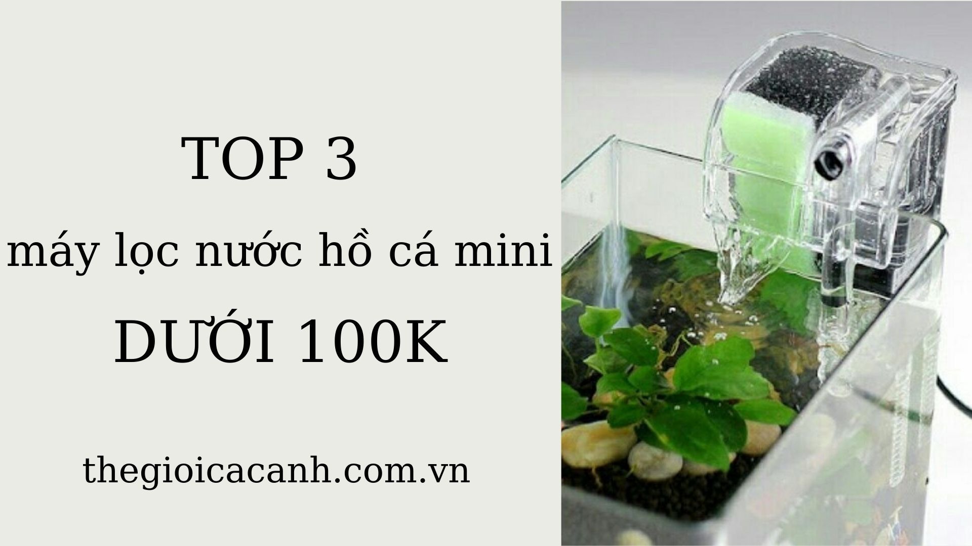 Bật mí TOP 3 máy lọc nước hồ cá mini giá rẻ DƯỚI 100K