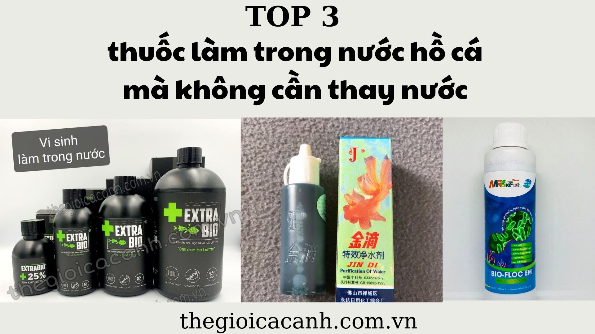 Hé lộ TOP 3 thuốc làm trong nước hồ cá mà không cần thay nước