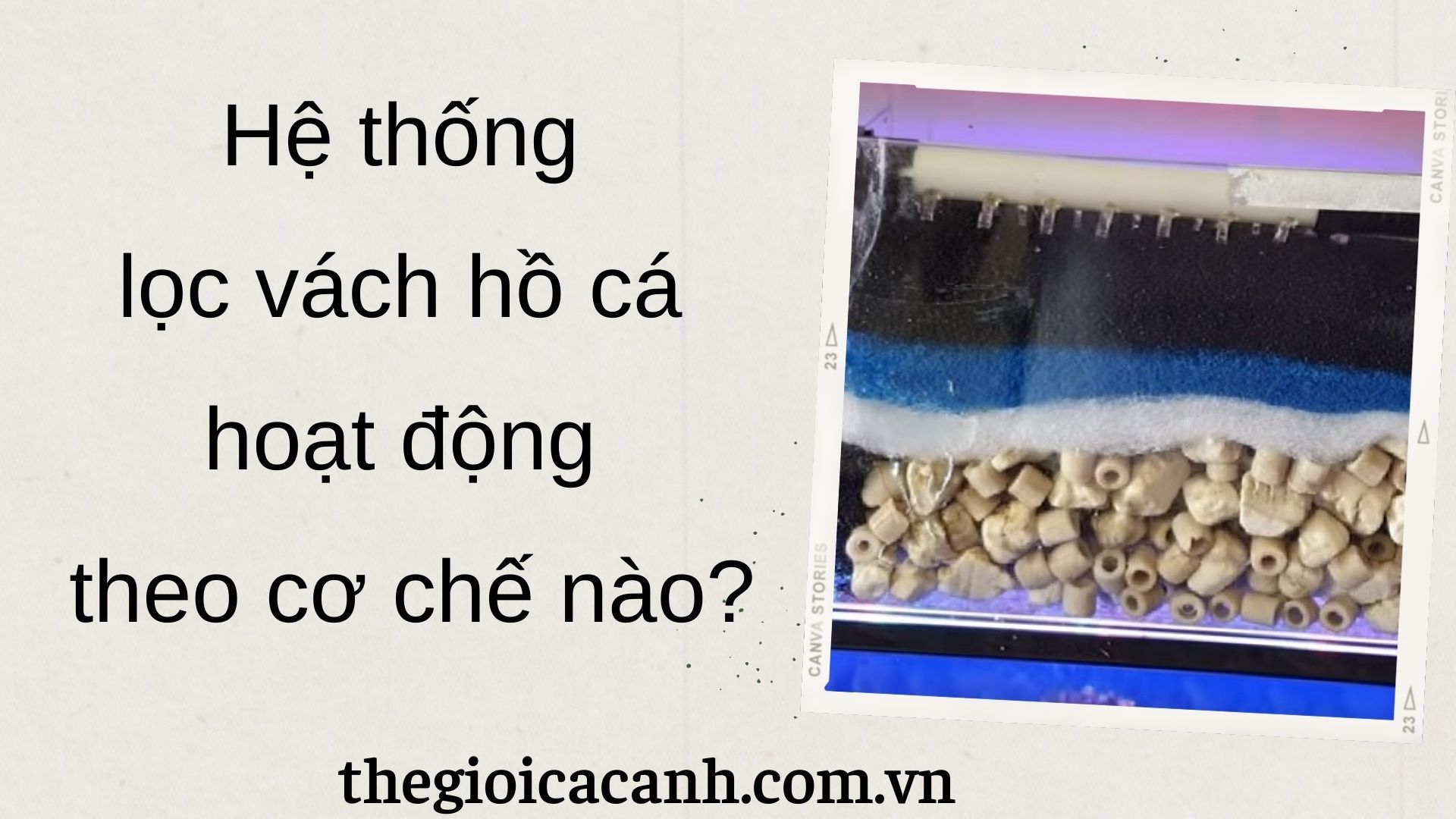 [Kiến thức] Hệ thống lọc vách hồ cá hoạt động theo cơ chế nào?