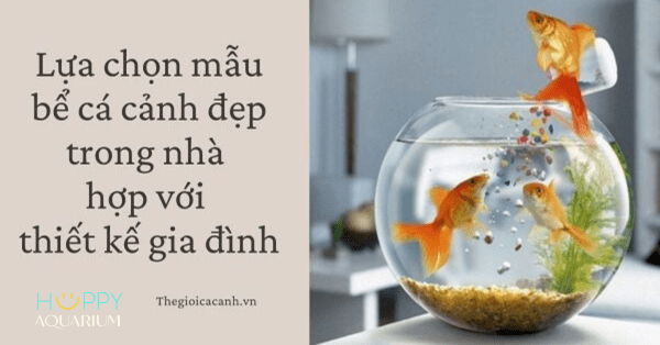 Lựa chọn mẫu bể cá cảnh đẹp trong nhà hợp với thiết kế gia đình