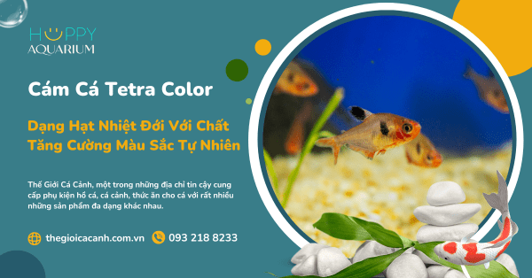 Cám Cá Dạng Hạt Nhiệt Đới Tetra Color Với Chất Tăng Cường Màu Sắc Tự Nhiên