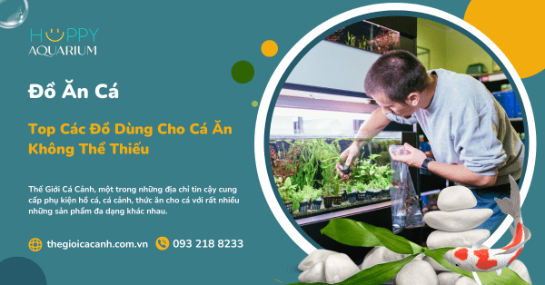 Top Các Đồ Dùng Cho Cá Ăn Không Thể Thiếu