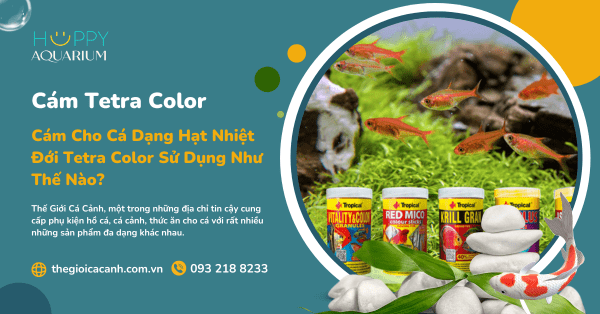 Cám Cho Cá Dạng Hạt Nhiệt Đới Tetra Color Sử Dụng Như Thế Nào?