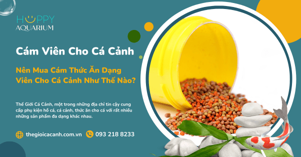 Nên Mua Cám Thức Ăn Dạng Viên Cho Cá Cảnh Như Thế Nào?