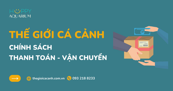 CHÍNH SÁCH THANH TOÁN - VẬN CHUYỂN