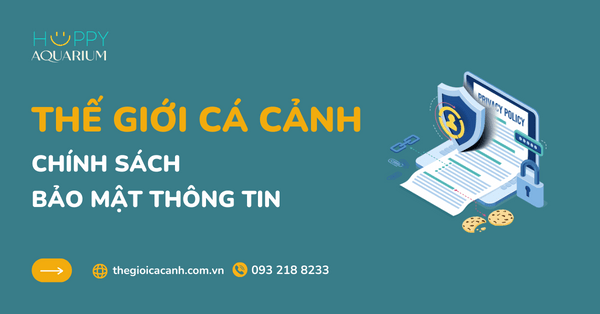 CHÍNH SÁCH BẢO MẬT THÔNG TIN