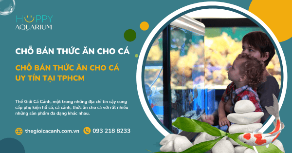 Chỗ Bán Thức Ăn Cho Cá Uy Tín Tại TPHCM