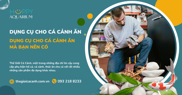 Dụng Cụ Cho Cá Cảnh Ăn Mà Bạn Nên Có