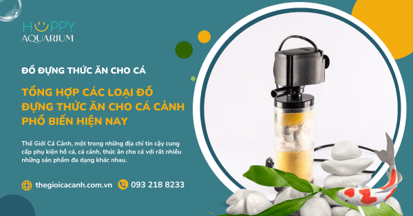 Tổng Hợp Các Loại Đồ Đựng Thức Ăn Cho Cá Cảnh Phổ Biến Hiện Nay