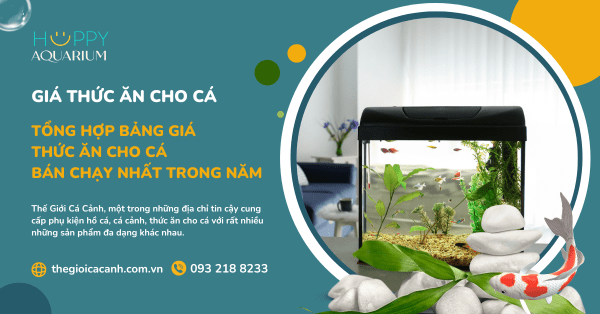 Tổng Hợp Bảng Giá Thức Ăn Cho Cá Bán Chạy Nhất Trong Năm