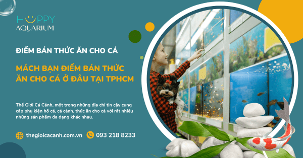 Mách Bạn Điểm Bán Thức Ăn Cho Cá Ở Đâu Tại TPHCM