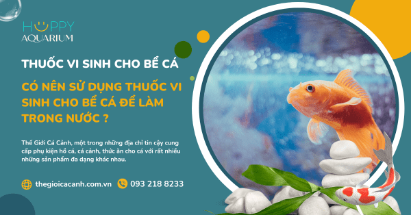 Có Nên Sử Dụng Thuốc Vi Sinh Cho Bể Cá Để Làm Trong Nước ?