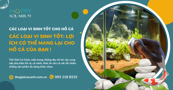 Các Loại Vi Sinh Tốt: Lợi Ích Có Thể Mang Lại Cho Hồ Cá Của Bạn !