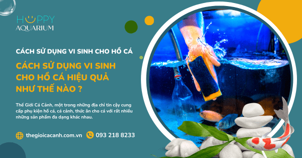 Cách Sử Dụng Vi Sinh Cho Hồ Cá Hiệu Quả Như Thế Nào ?