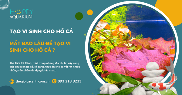 Mất Bao Lâu Để Tạo Vi Sinh Cho Hồ Cá ?