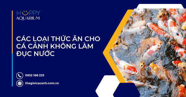 Các Loại Thức Ăn Cho Cá Cảnh Không Làm Đục Nước