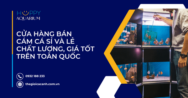 Cửa Hàng Bán Cám Cá Sỉ Và Lẻ Chất Lượng, Giá Tốt Trên Toàn Quốc