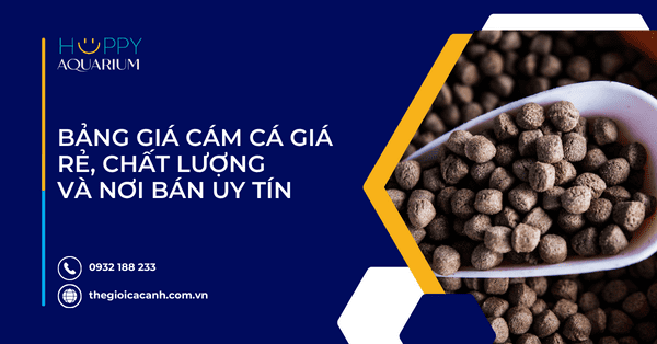 Bảng Giá Cám Cá Giá Rẻ, Chất Lượng Và Nơi Bán Uy Tín