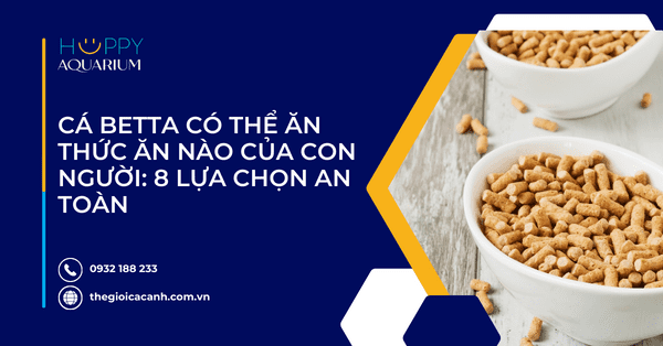 Cá Betta Có Thể Ăn Thức Ăn Nào Của Con Người: 8 Lựa Chọn An Toàn