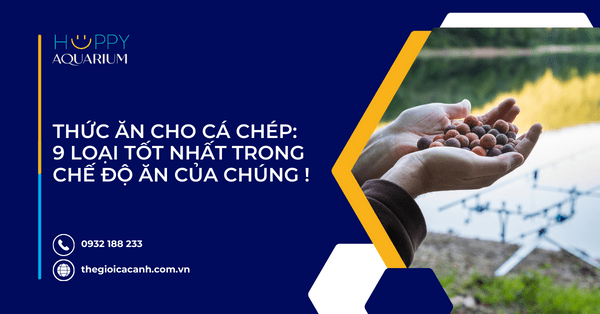 Thức Ăn Cho Cá Chép: 9 Loại Tốt Nhất Trong Chế Độ Ăn Của Chúng