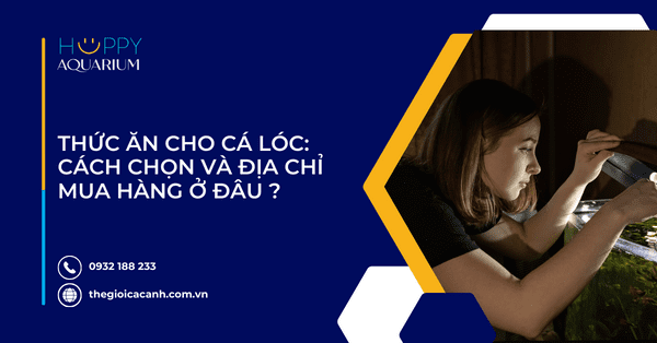 Thức Ăn Cho Cá Lóc: Cách Chọn Và Địa Chỉ Mua Hàng Ở Đâu ?