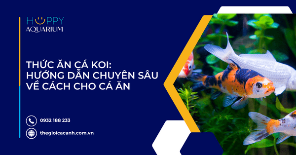 Thức Ăn Cá Koi: Hướng Dẫn Chuyên Sâu Về Cách Cho Cá Ăn