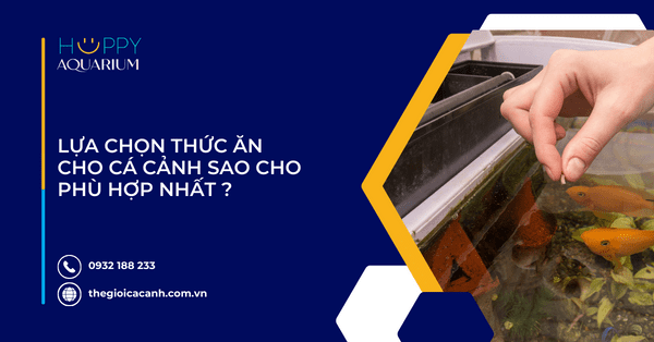 Lựa Chọn Thức Ăn Cho Cá Cảnh Sao Cho Phù Hợp Nhất ?