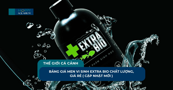 Bảng Giá Men Vi Sinh Extra Bio Chất Lượng, Giá Rẻ ( Cập Nhật Mới )