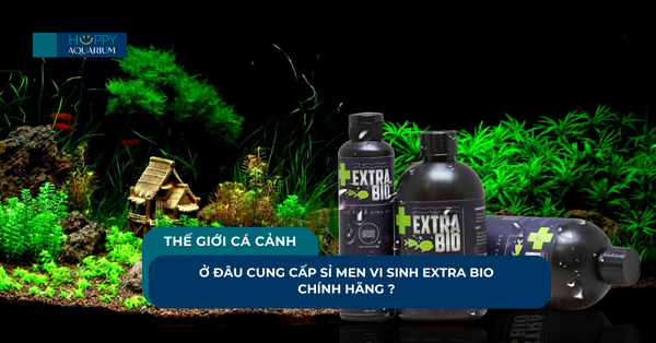 Ở Đâu Cung Cấp Sỉ Men Vi Sinh Extra Bio Chính Hãng ?