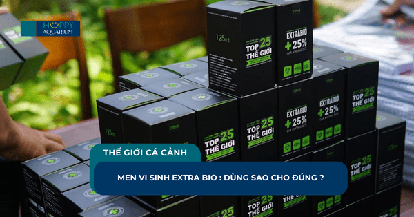 Men Vi Sinh Extra Bio : Dùng Sao Cho Đúng ?