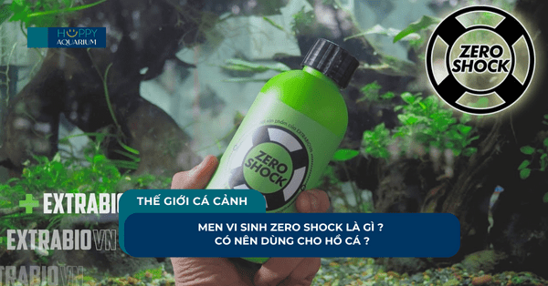 Zero Shock Chống Sốc Cho Cá Là Gì ? Có Nên Dùng Cho Hồ Cá ?