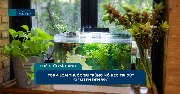 Top 4 Loại Thuốc Trị Trùng Mỏ Neo Trị Dứt Điểm Lên Đến 99%