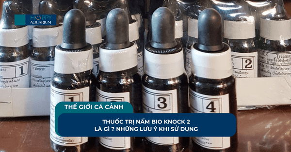 Thuốc Trị Nấm Bio Knock 2 Là Gì ? Những Lưu Ý Khi Sử Dụng