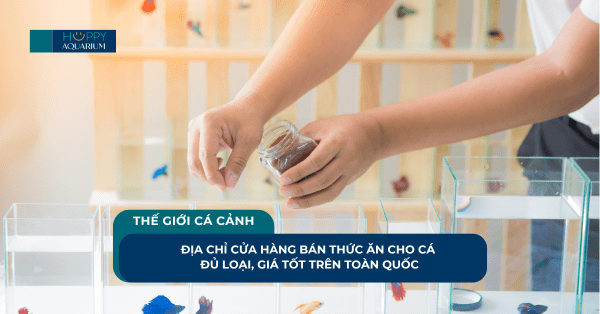 Địa Chỉ Cửa Hàng Bán Thức Ăn Cho Cá Đủ Loại, Giá Tốt Trên Toàn Quốc