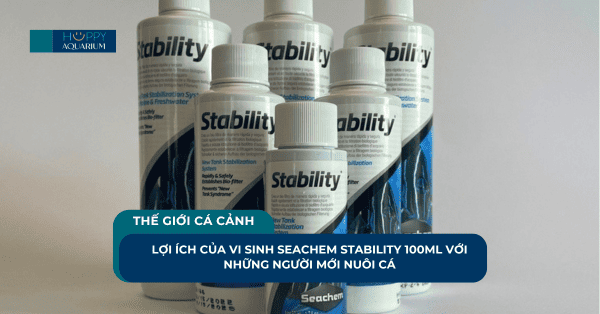 Lợi Ích Của Vi Sinh Seachem Stability 100ml Với Những Người Mới Nuôi Cá