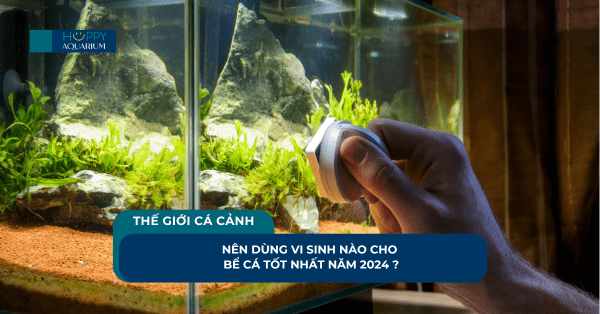 Nên Dùng Vi Sinh Nào Cho Bể Cá Tốt Nhất Năm 2024 ?