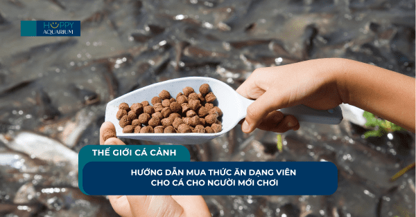 Hướng Dẫn Mua Thức Ăn Dạng Viên Cho Cá Cho Người Mới Chơi