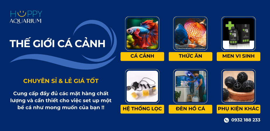 Banner Cá Cảnh T10.23