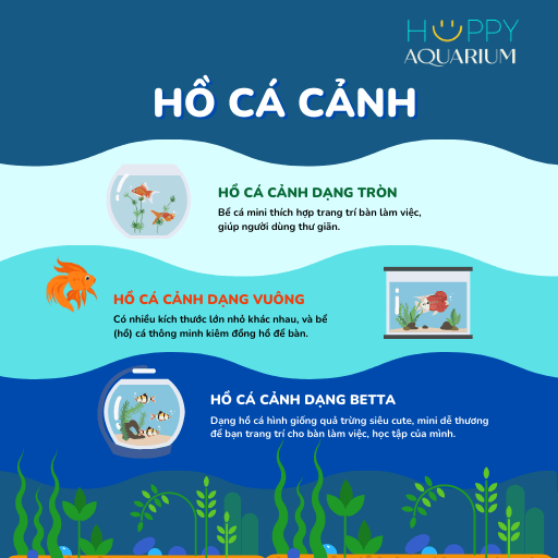 HỒ CÁ