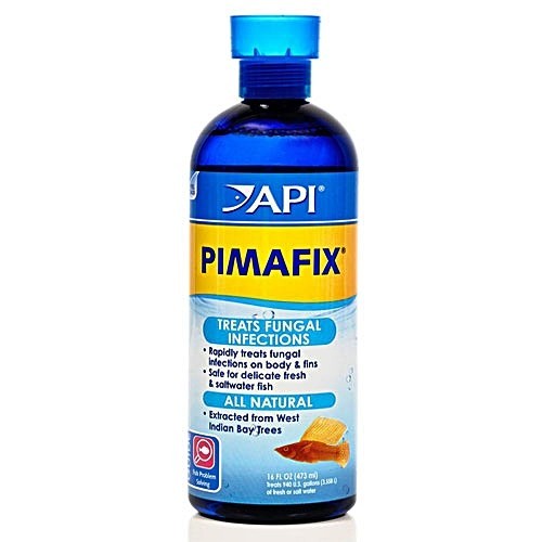 API PIMAFIX - Dung Dịch Đặc Trị Nấm 118ml 237ml 473ml cho cá cảnh